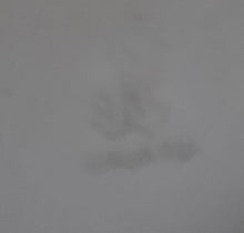 Lade das Bild in den Galerie-Viewer, UNTERTASSE - Porzellan, Goldrand Flora Blatt Blätter Abstrakt Motiv Dekor (nBC)
