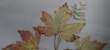Lade das Bild in den Galerie-Viewer, 7er Set ABLAGETELLERCHEN &amp; DESSERTTELLER &quot;Diadem&quot; - Porzellan, Goldrand Blatt Blätter Herbstlaub Motiv Dekor
