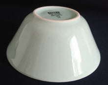 Lade das Bild in den Galerie-Viewer, 2er Set SALAT~ BEILAGENSCHALEN - Keramik / Steingut, Einfärbiges Klassisches Motiv Dekor

