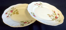 Lade das Bild in den Galerie-Viewer, 2er Set DESSERTTELLER &quot;Rose Mousse&quot; - Porzellan, Flora Rosenblumen Bouquet Pflanzen Relief Goldrand Motiv Dekor
