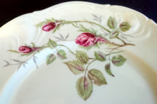 Lade das Bild in den Galerie-Viewer, 2er Set DESSERTTELLER &quot;Rose Mousse&quot; - Porzellan, Flora Rosenblumen Bouquet Pflanzen Relief Goldrand Motiv Dekor
