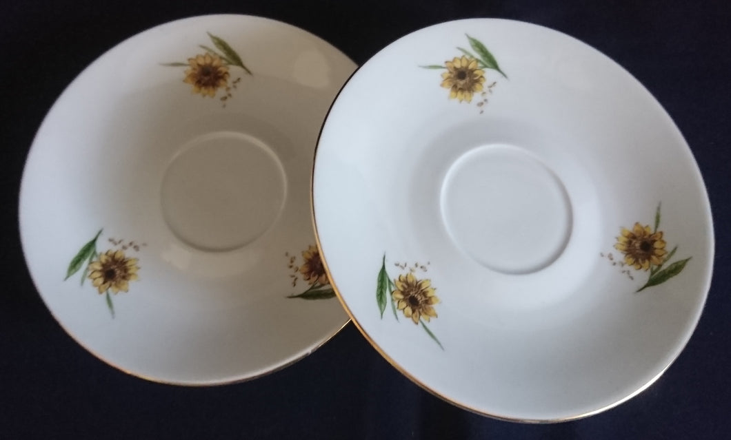 2er Set UNTERTASSEN - Porzellan, Goldrand Flora Sonnenblumen Blüten Natur Motiv Dekor