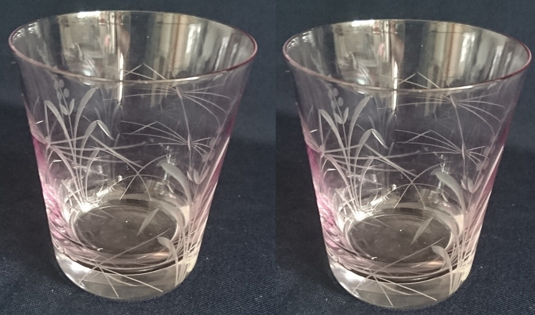 2er Set GETRÄNKEGLÄSER - Kristallglas, Flora Wiesen Pflanzen Schilfhalme Relief Motiv Dekor