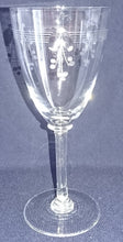 Lade das Bild in den Galerie-Viewer, 2er Set WEIN~ GETRÄNKEGLÄSER - Hartglas, Flora Pflanzen Obst Trauben Motiv Dekor
