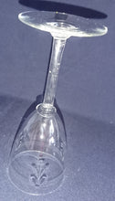 Lade das Bild in den Galerie-Viewer, 2er Set WEIN~ GETRÄNKEGLÄSER - Hartglas, Flora Pflanzen Obst Trauben Motiv Dekor
