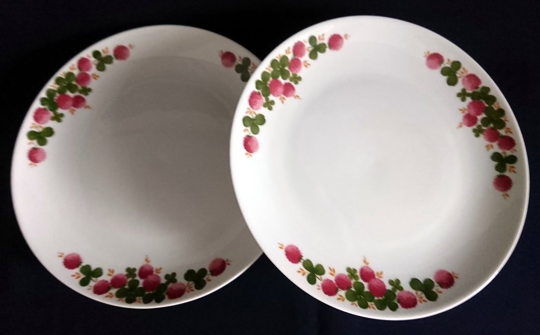 2er Set SPEISETELLER - Porzellan, Flora Blumenblüten Pflanzen Kleeblatt Blätter Motiv Dekor