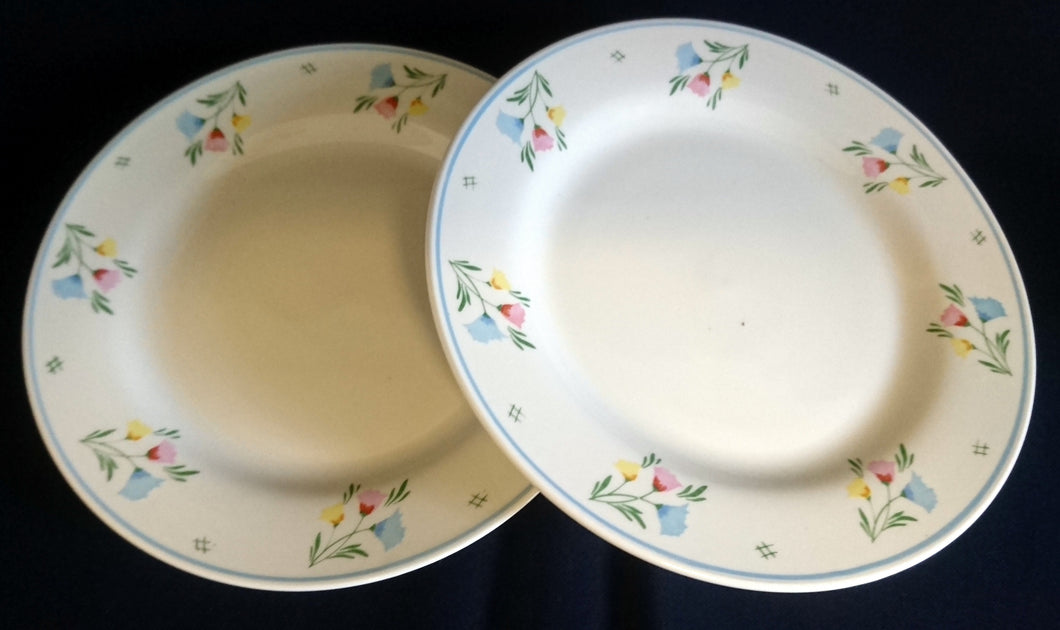 2er Set DESSERTTELLER - Keramik / Steingut, Flora Blumen Blüten Pflanzen Motiv Dekor