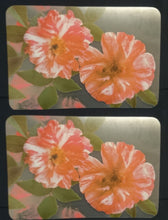 Lade das Bild in den Galerie-Viewer, 2er Set GROßE MOTIV PLATZDECKCHEN, Kunststoff / Plastik, Rechteckige Form Nelken Blumen Motiv Dekor (G)
