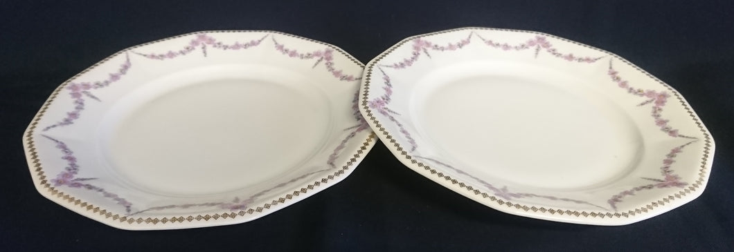 2er Set SPEISETELLER - Porzellan, Blumen Blüten Pflanzen Goldrand Dekor