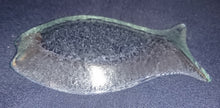 Lade das Bild in den Galerie-Viewer, ABLAGESCHÄLCHEN - Hartglas, Klares Fischform Dekor
