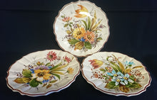 Lade das Bild in den Galerie-Viewer, 3er Set WAND SAMMELTELLER - Keramik / Steingut, Mehrfarbige Verschiedene Blumenwiesen Brauner Dekorrand
