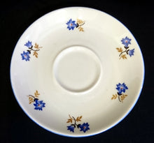 Lade das Bild in den Galerie-Viewer, UNTERTASSE - Porzellan, Blaue Enzian Blumen Blüten Pflanzen Motiv Randdekor
