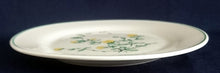 Lade das Bild in den Galerie-Viewer, 2er Set 3er KAFFEEGEDECKE - Keramik / Steingut, Blumenblüten Pflanzen Flora Randlinie Motiv Dekor

