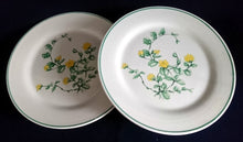 Lade das Bild in den Galerie-Viewer, 2er Set 3er KAFFEEGEDECKE - Keramik / Steingut, Blumenblüten Pflanzen Flora Randlinie Motiv Dekor
